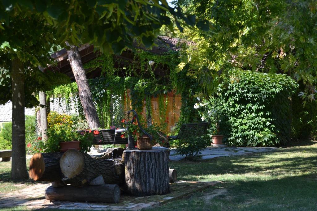 Trattoria Vecchio Mulino Bed & Breakfast Niella Tanaro Exterior photo